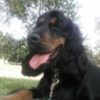 Profile picture of Bozo