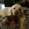 Profile picture of Bree