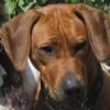 Profile picture of Freda