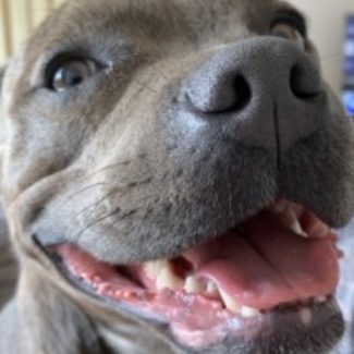 Profile picture of Pip