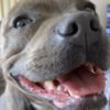 Profile picture of Pip
