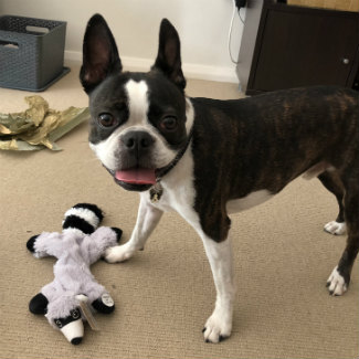 Profile picture of Jax