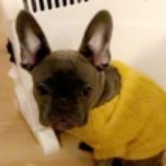 Profile picture of Daisy