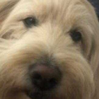 Profile picture of Monty