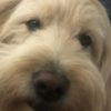 Profile picture of Monty