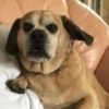 Profile picture of Trix
