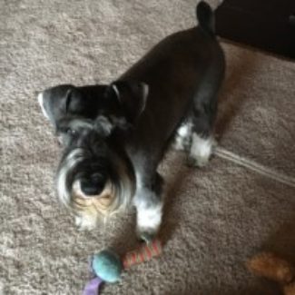 Profile picture of julie