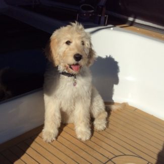 Profile picture of Abby