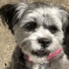 Profile picture of Zali