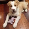 Profile picture of Ned