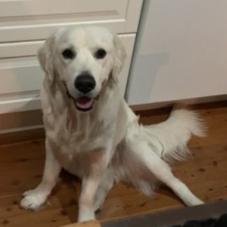 Profile picture of Charlie