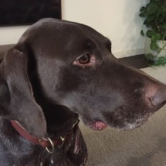 Profile picture of Geronimo