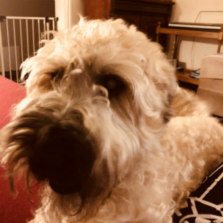 Profile picture of Max