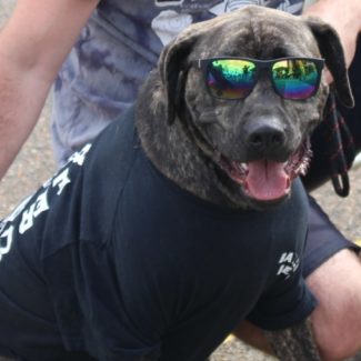 Profile picture of Ballistic Beer