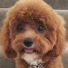 Profile picture of Jax