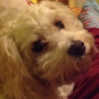 Profile picture of Anna