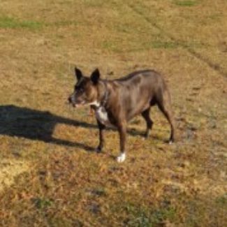 Profile picture of rebecca.wilson8@bigpond.com