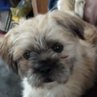 Profile picture of Neen