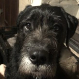 Profile picture of gcmgalactic@gmail.com