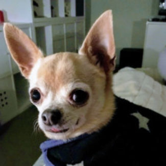 Profile picture of pckid32@gmail.com