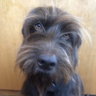 Profile picture of mseboulton@gmail.com