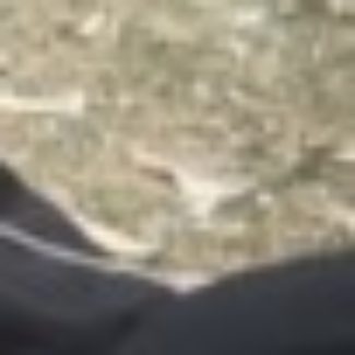 Profile picture of Greg Bullivant