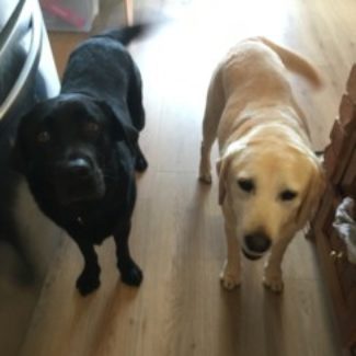 Profile picture of Rebecca