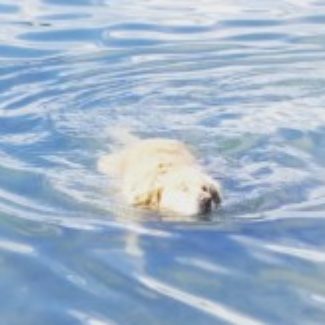 Profile picture of Larissa