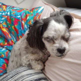 Profile picture of Jules