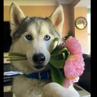 Profile picture of Pepe&Coco