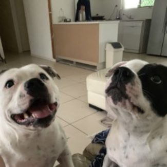 Profile picture of Kay