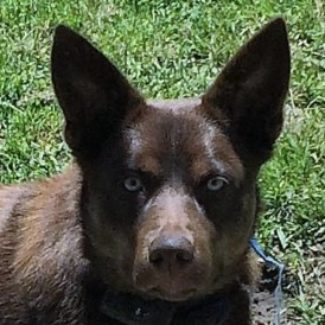 Profile picture of mll58@bigpond.com