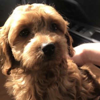 Profile picture of Nora