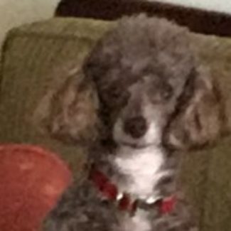 Profile picture of sallyd@auc.com.au