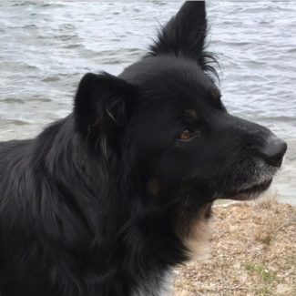 Profile picture of Sally