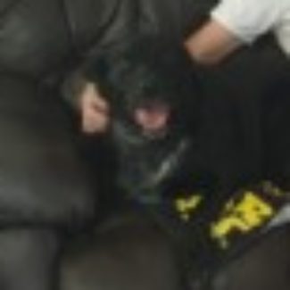 Profile picture of jsparreb@mail.com