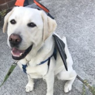 Profile picture of pb_lambert@hotmail.com