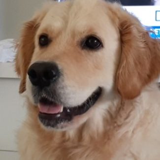 Profile picture of Jon