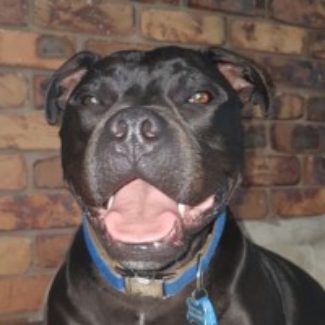 Profile picture of Donna