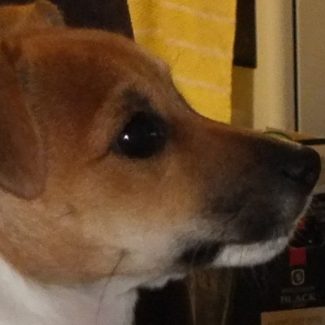 Profile picture of Glenny