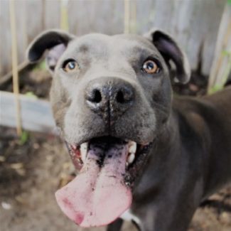 Profile picture of Monique