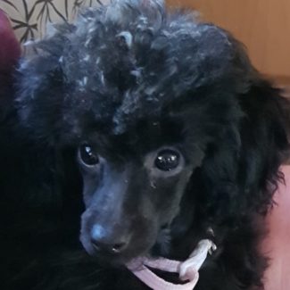 Profile picture of Lynn