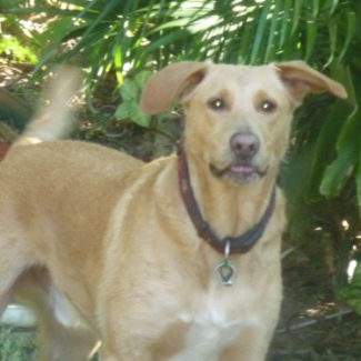 Profile picture of Jan