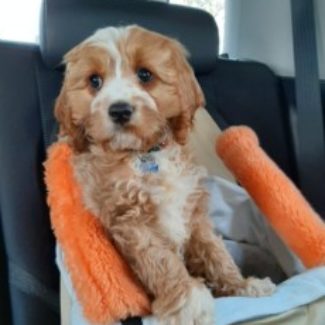 Profile picture of Brenda