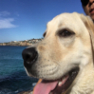 Profile picture of Andrex