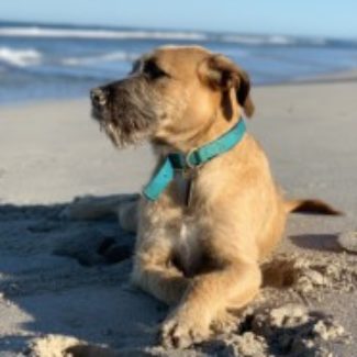 Profile picture of lp41092@hotmail.com