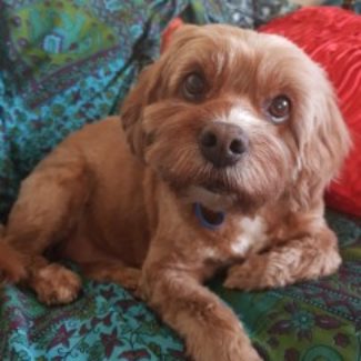 Profile picture of lmbaigent@gmail.com