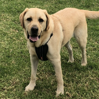 Profile picture of Brady