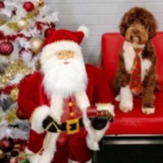 Profile picture of Phil