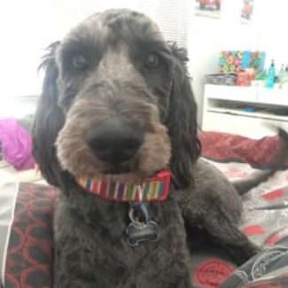 Profile picture of Larissa